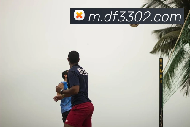 奖项证书